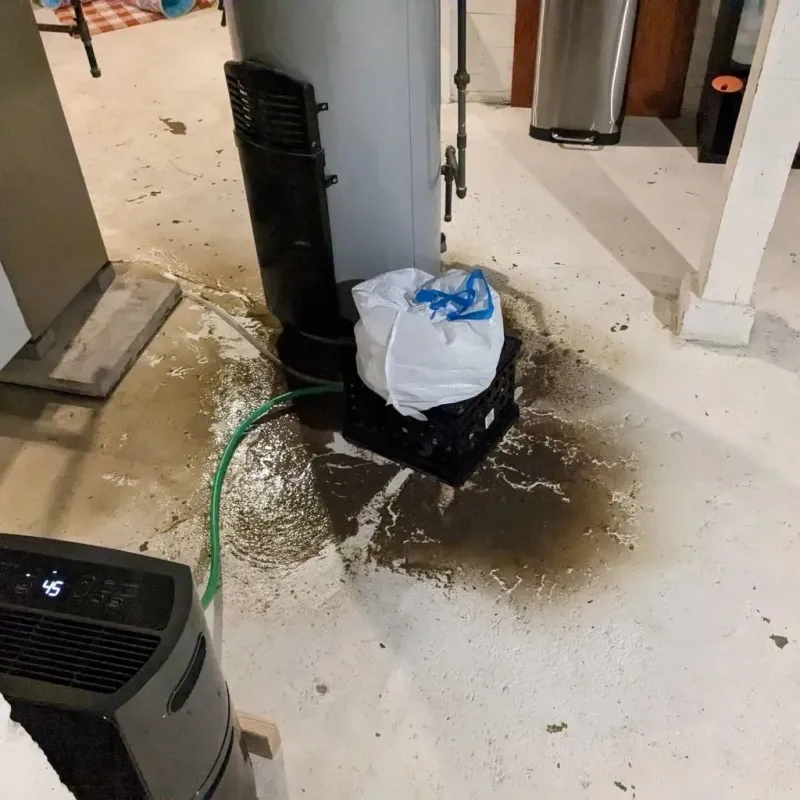 Sewage Backup Cleanup Service in Elizabethville, PA